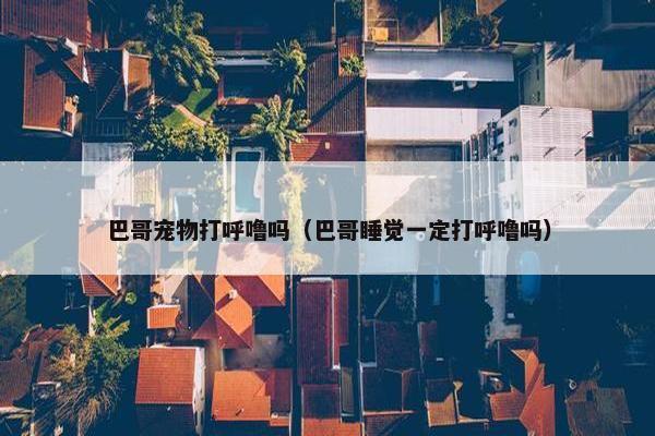 巴哥宠物打呼噜吗（巴哥睡觉一定打呼噜吗）