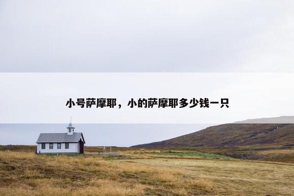 小号萨摩耶，小的萨摩耶多少钱一只