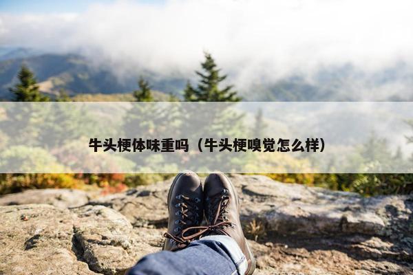 牛头梗体味重吗（牛头梗嗅觉怎么样）