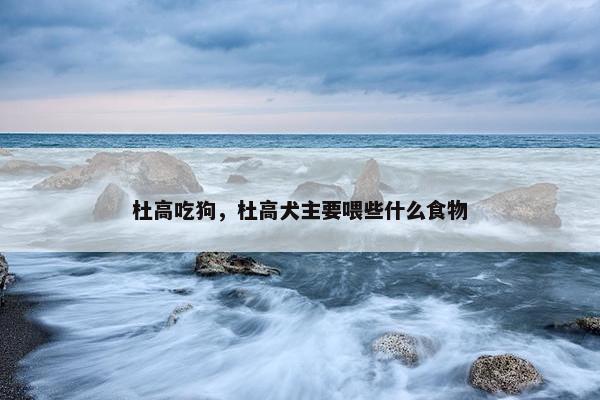 杜高吃狗，杜高犬主要喂些什么食物
