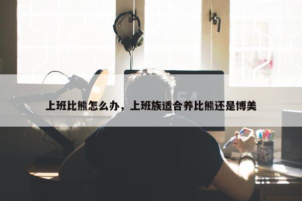 上班比熊怎么办，上班族适合养比熊还是博美