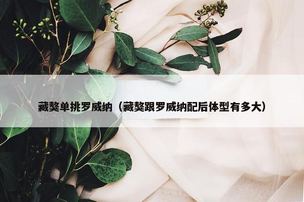 藏獒单挑罗威纳（藏獒跟罗威纳配后体型有多大）