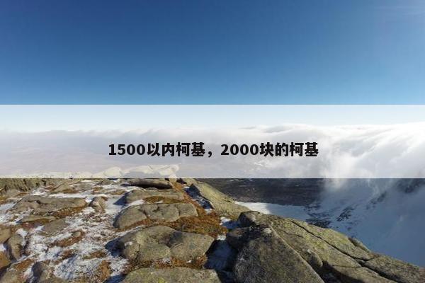 1500以内柯基，2000块的柯基
