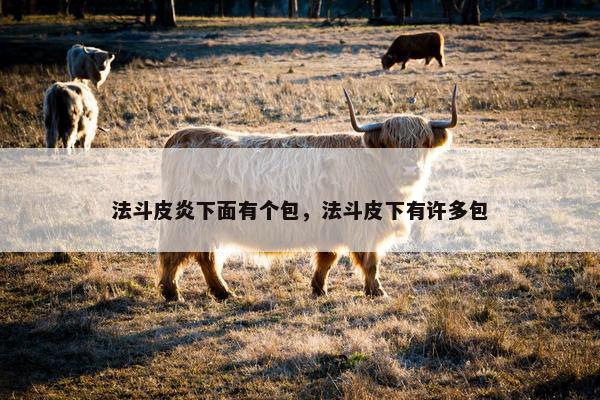 法斗皮炎下面有个包，法斗皮下有许多包