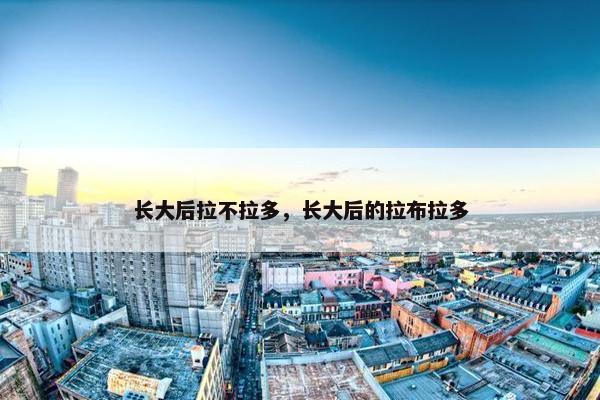 长大后拉不拉多，长大后的拉布拉多