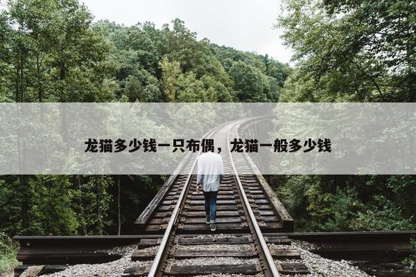 龙猫多少钱一只布偶，龙猫一般多少钱