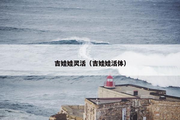 吉娃娃灵活（吉娃娃活体）