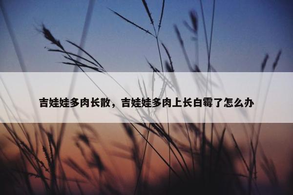 吉娃娃多肉长散，吉娃娃多肉上长白霉了怎么办
