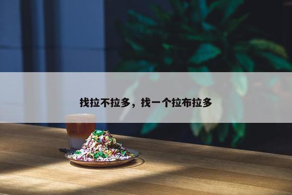 找拉不拉多，找一个拉布拉多