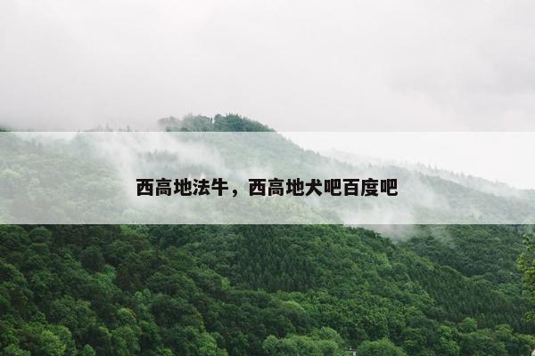 西高地法牛，西高地犬吧百度吧