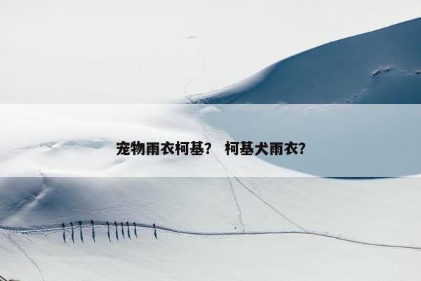 宠物雨衣柯基？ 柯基犬雨衣？