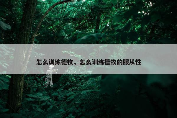 怎么训练德牧，怎么训练德牧的服从性