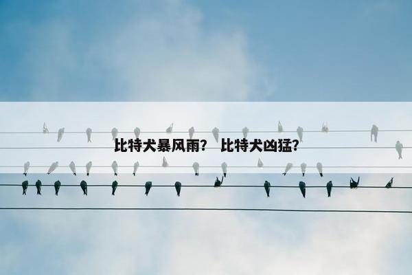 比特犬暴风雨？ 比特犬凶猛？