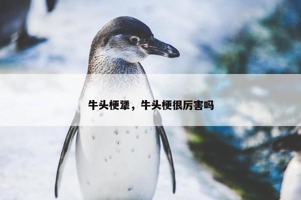 牛头梗犟，牛头梗很厉害吗