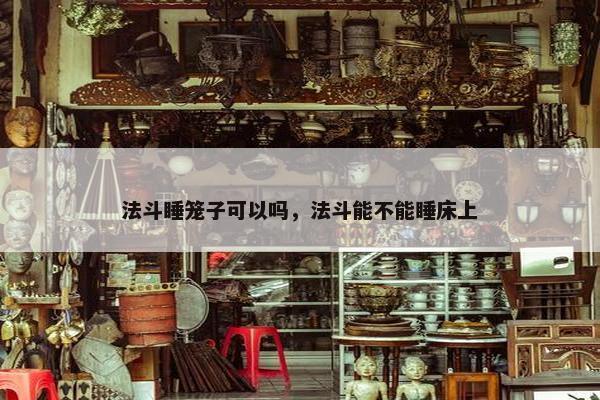法斗睡笼子可以吗，法斗能不能睡床上