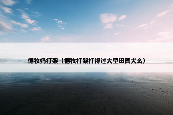 德牧妈打架（德牧打架打得过大型田园犬么）