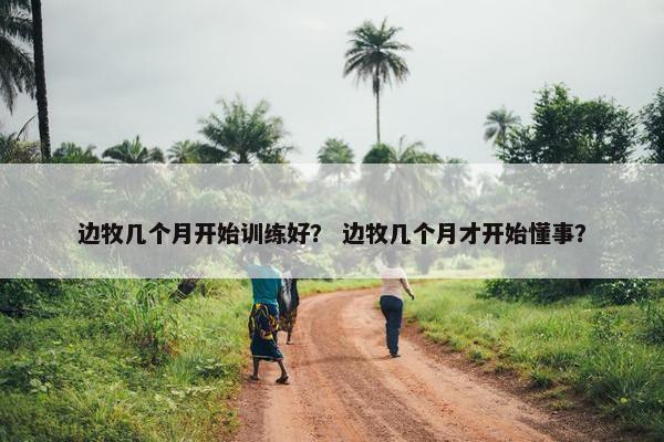边牧几个月开始训练好？ 边牧几个月才开始懂事？