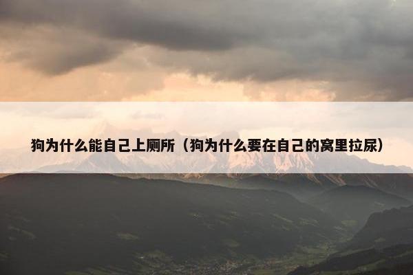 狗为什么能自己上厕所（狗为什么要在自己的窝里拉尿）