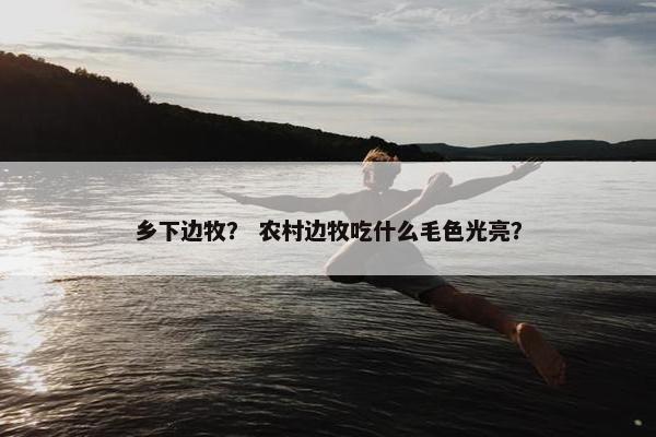 乡下边牧？ 农村边牧吃什么毛色光亮？