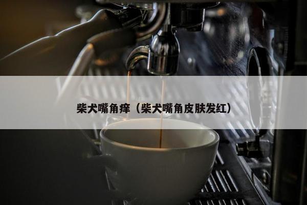 柴犬嘴角痒（柴犬嘴角皮肤发红）