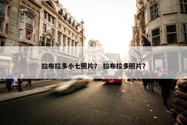 拉布拉多小七照片？ 拉布拉多照片？