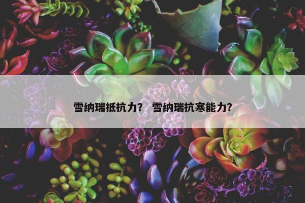 雪纳瑞抵抗力？ 雪纳瑞抗寒能力？