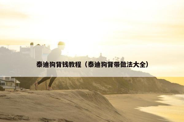 泰迪狗背钱教程（泰迪狗背带做法大全）