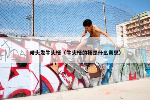 带头发牛头梗（牛头梗的梗是什么意思）