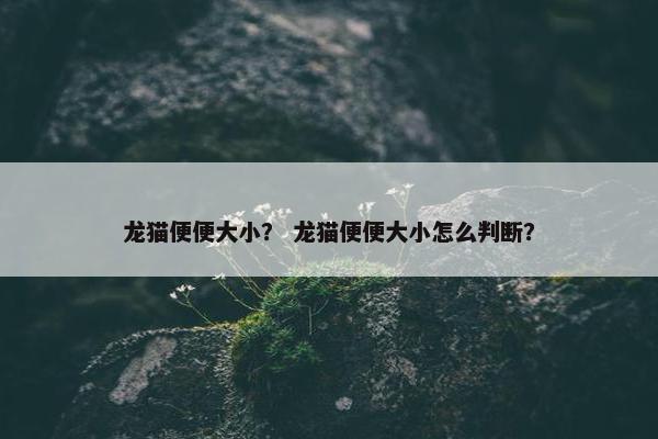 龙猫便便大小？ 龙猫便便大小怎么判断？