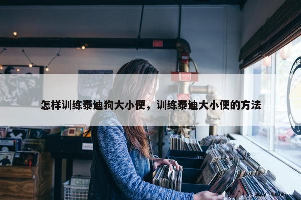 怎样训练泰迪狗大小便，训练泰迪大小便的方法