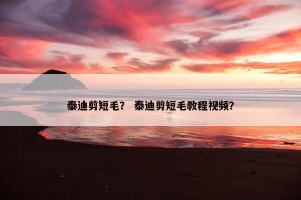 泰迪剪短毛？ 泰迪剪短毛教程视频？