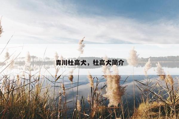 青川杜高犬，杜高犬简介