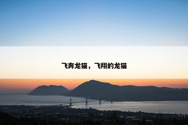 飞奔龙猫，飞翔的龙猫