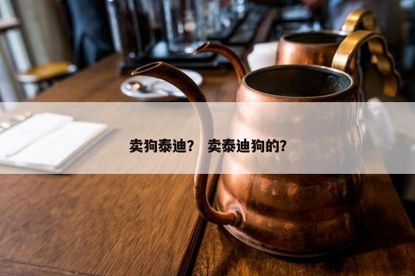 卖狗泰迪？ 卖泰迪狗的？