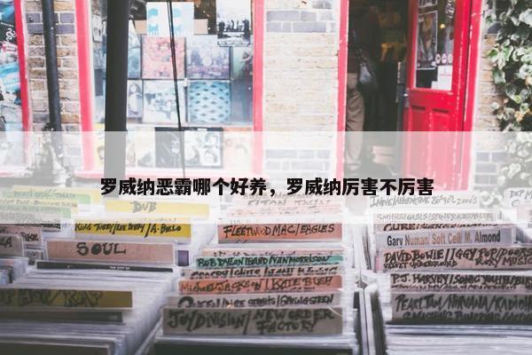 罗威纳恶霸哪个好养，罗威纳厉害不厉害