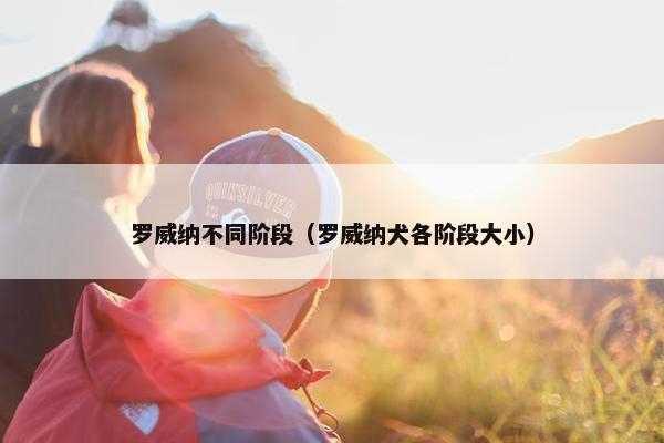 罗威纳不同阶段（罗威纳犬各阶段大小）