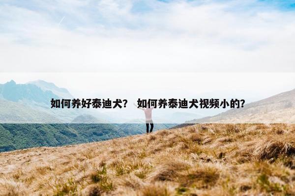 如何养好泰迪犬？ 如何养泰迪犬视频小的？