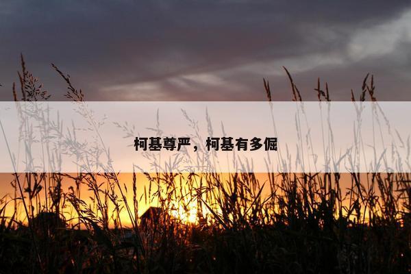 柯基尊严，柯基有多倔