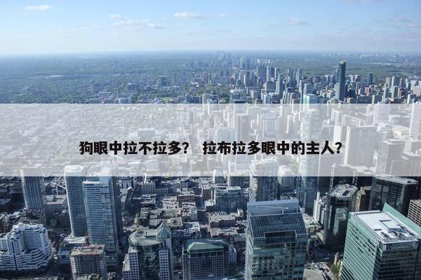 狗眼中拉不拉多？ 拉布拉多眼中的主人？