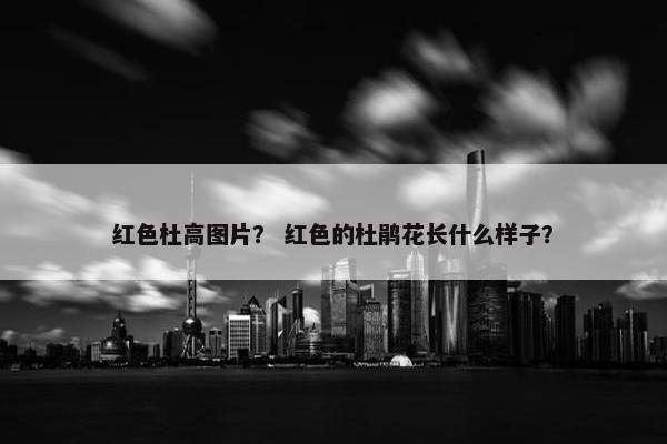 红色杜高图片？ 红色的杜鹃花长什么样子？