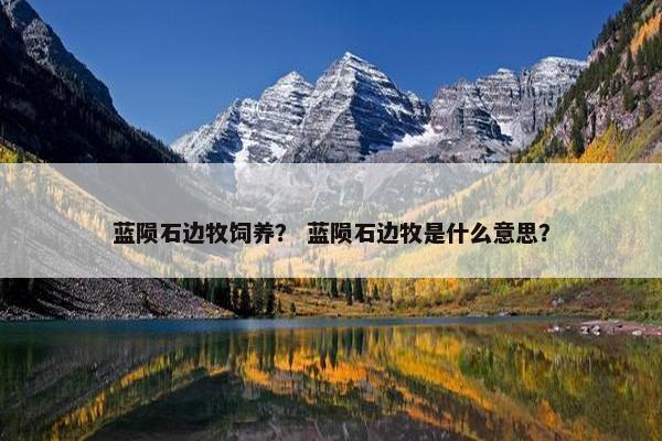 蓝陨石边牧饲养？ 蓝陨石边牧是什么意思？