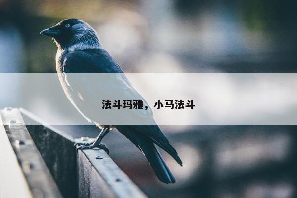 法斗玛雅，小马法斗