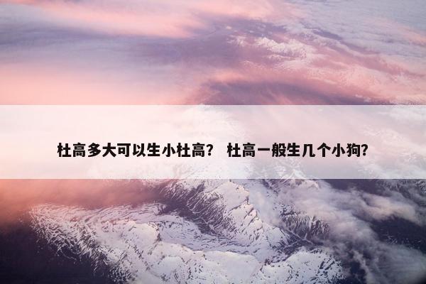 杜高多大可以生小杜高？ 杜高一般生几个小狗？