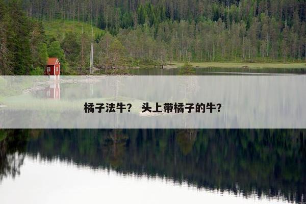 橘子法牛？ 头上带橘子的牛？