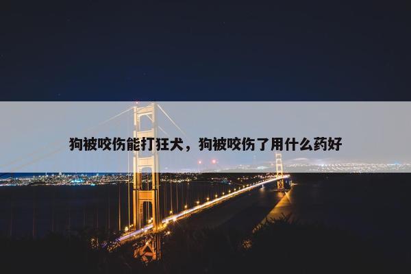 狗被咬伤能打狂犬，狗被咬伤了用什么药好
