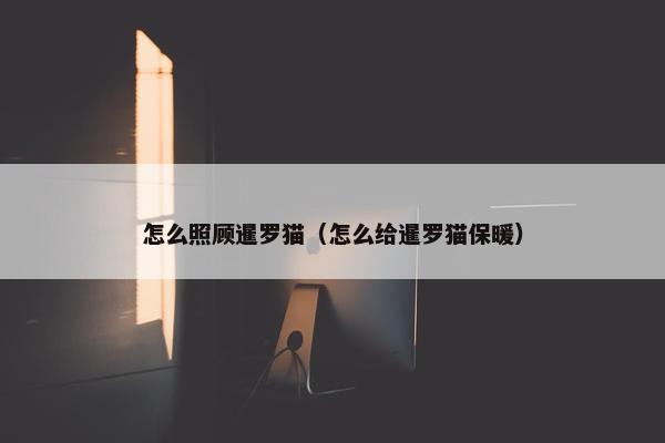 怎么照顾暹罗猫（怎么给暹罗猫保暖）