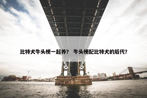比特犬牛头梗一起养？ 牛头梗配比特犬的后代？