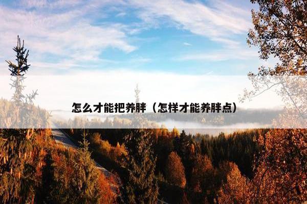 怎么才能把养胖（怎样才能养胖点）
