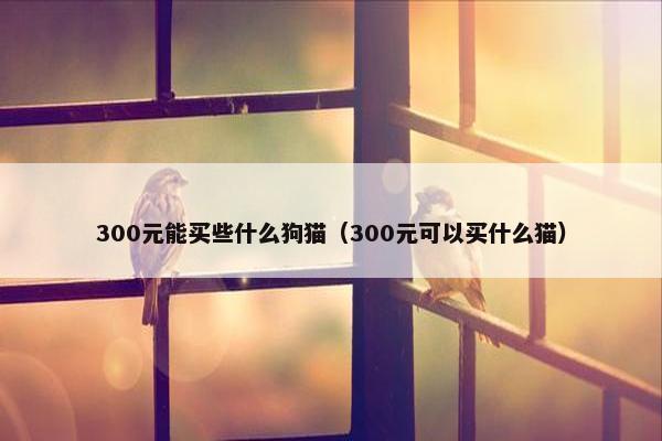 300元能买些什么狗猫（300元可以买什么猫）