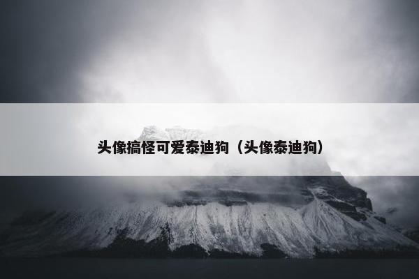 头像搞怪可爱泰迪狗（头像泰迪狗）